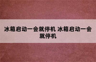 冰箱启动一会就停机 冰箱启动一会就停机